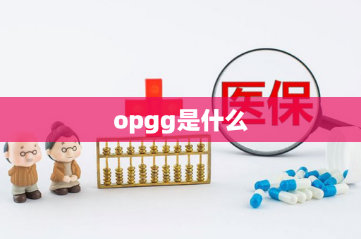 opgg是什么