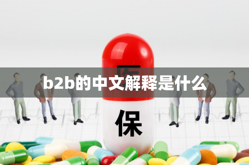 b2b的中文解释是什么