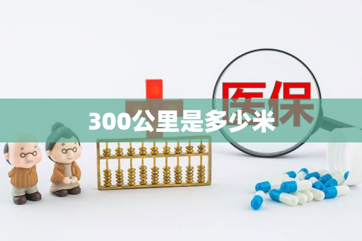 300公里是多少米